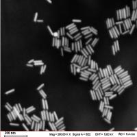 水溶性金棒（&amp;lambda;=900nm）