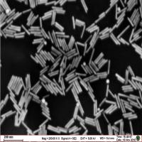 水溶性金棒（&amp;lambda;=1260nm）