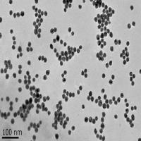 水溶性银纳米颗粒（d=20nm）