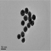 水溶性银纳米颗粒（d=40nm）