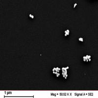 水溶性银纳米颗粒（d=100nm）