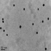 水溶性金纳米粒（d=20nm）